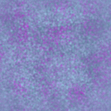 purplebl.gif