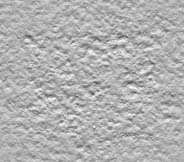 o013.jpg