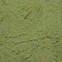 green plaster